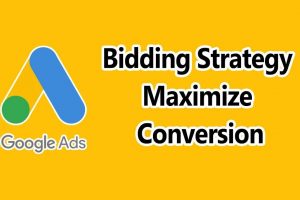 Bidding Strategies: Maximize Conversions