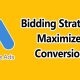 Bidding Strategies: Maximize Conversions