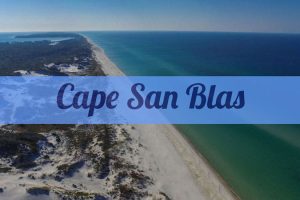 Cape San Blas, Treat Yourself