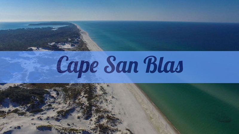 Cape San Blas, Treat Yourself